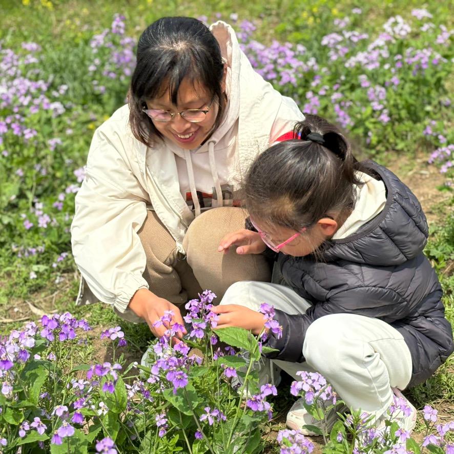 扬州房产咨询服务