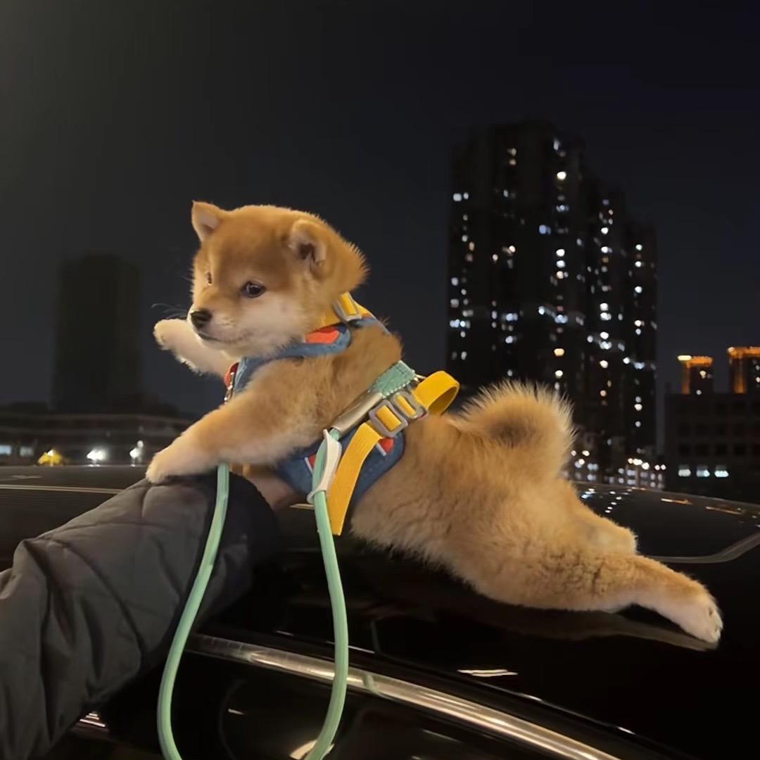 ☀️❄️💧☃️