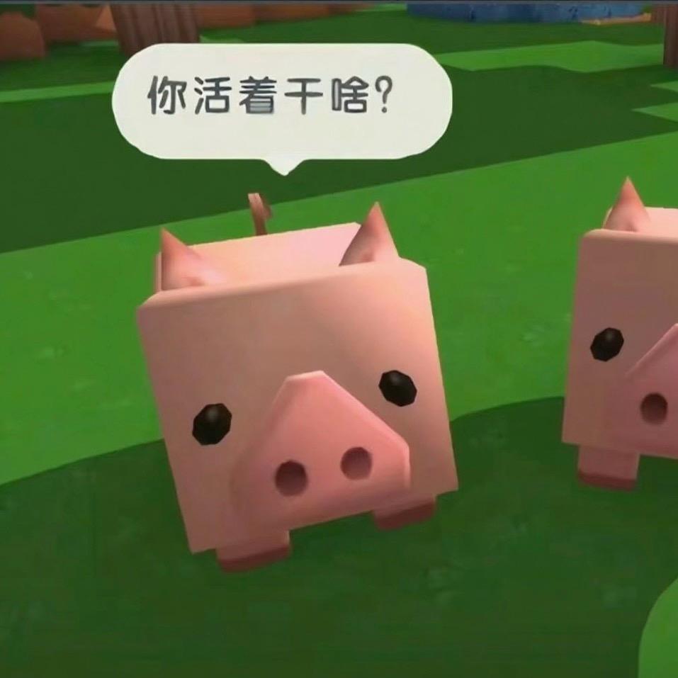 纪念品