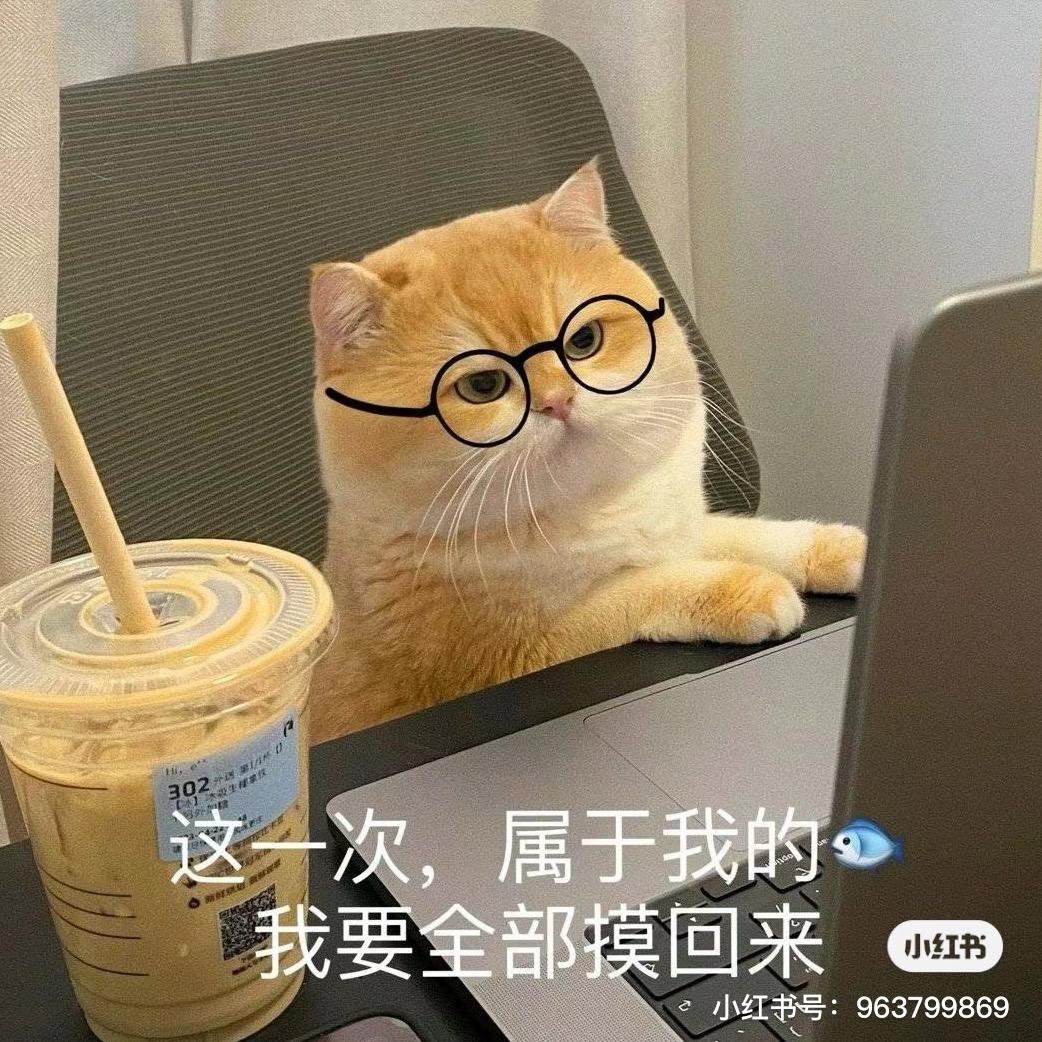 一只修猫diy