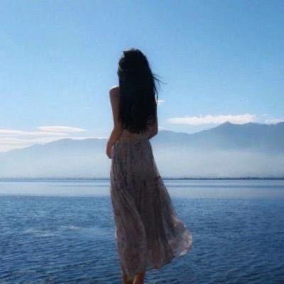 报喜鸟-魏