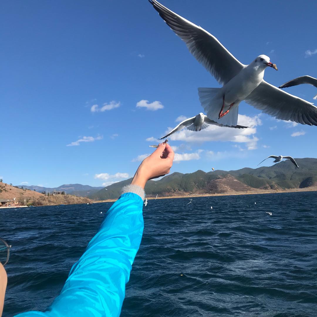 开便利店的生活