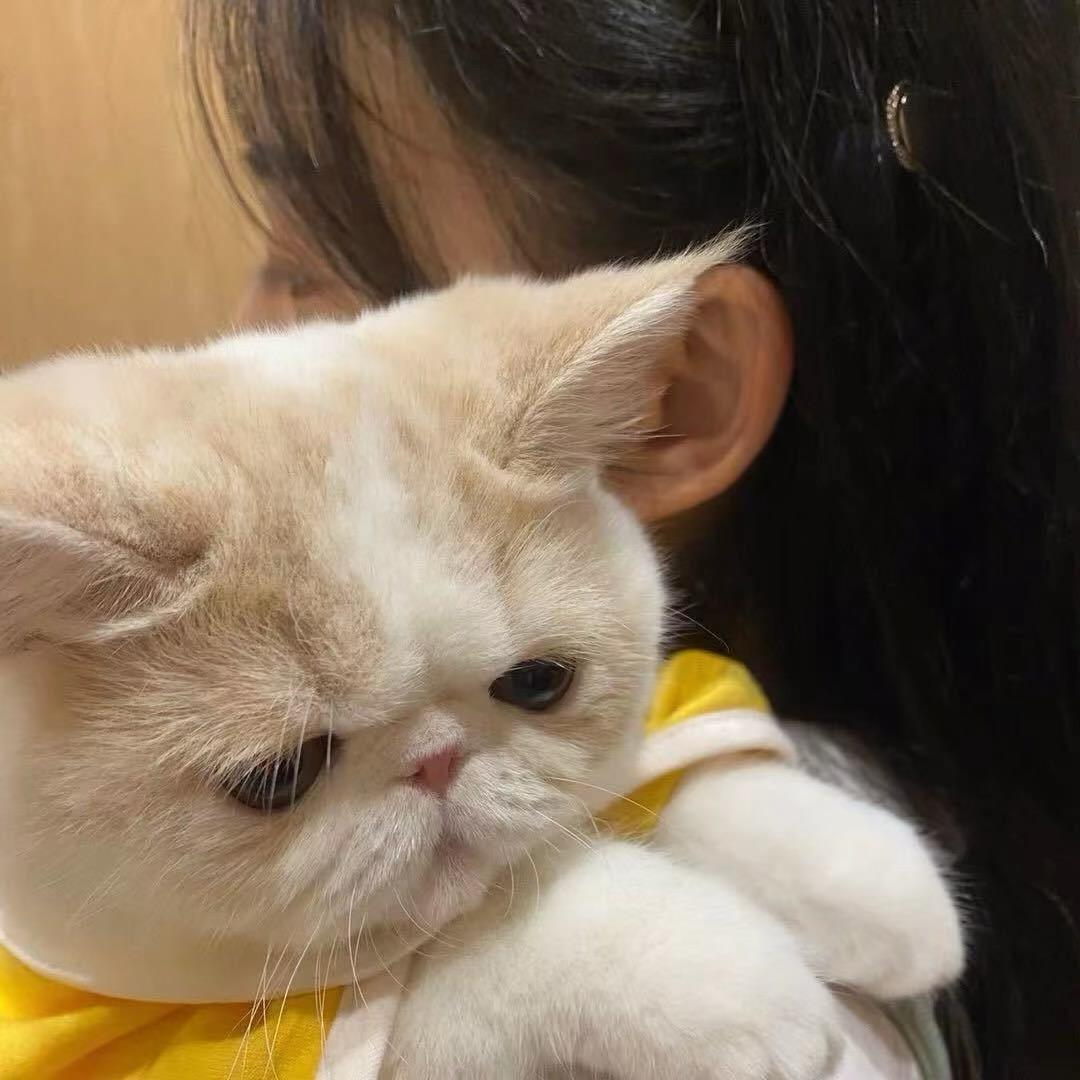 南波汪