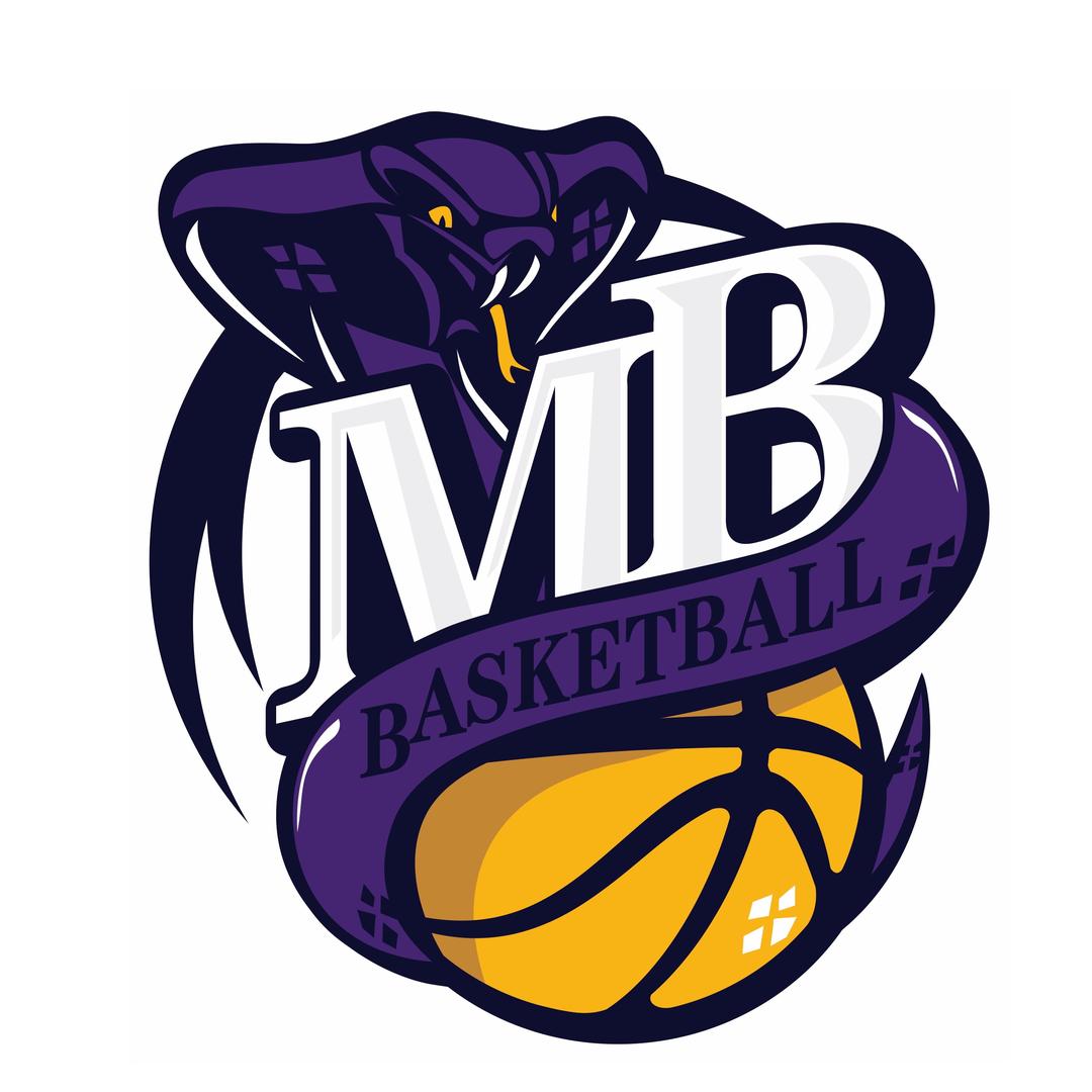 扎鲁特旗曼巴篮球公园