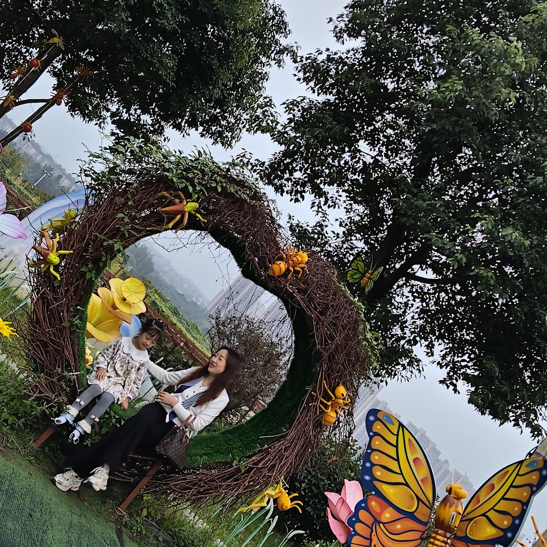 越努力，越幸运LYY