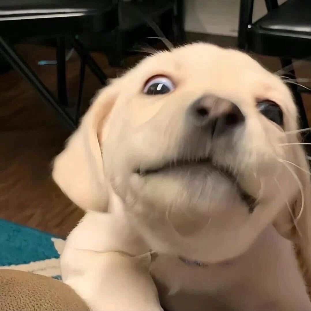 哇呱哇