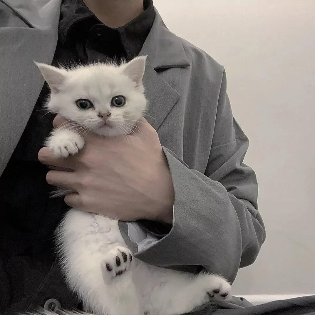 ✨꯭S꯭ᴛ꯭ᴀ꯭ʀ꯭s꯭ง（星星）✨