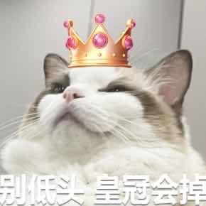 疯狂阿咪