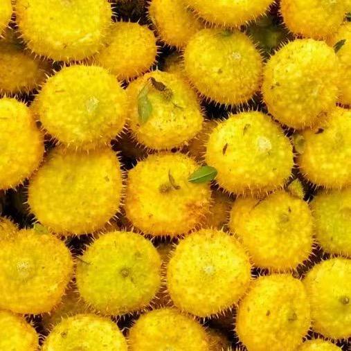 黔脉-贵州刺梨汁