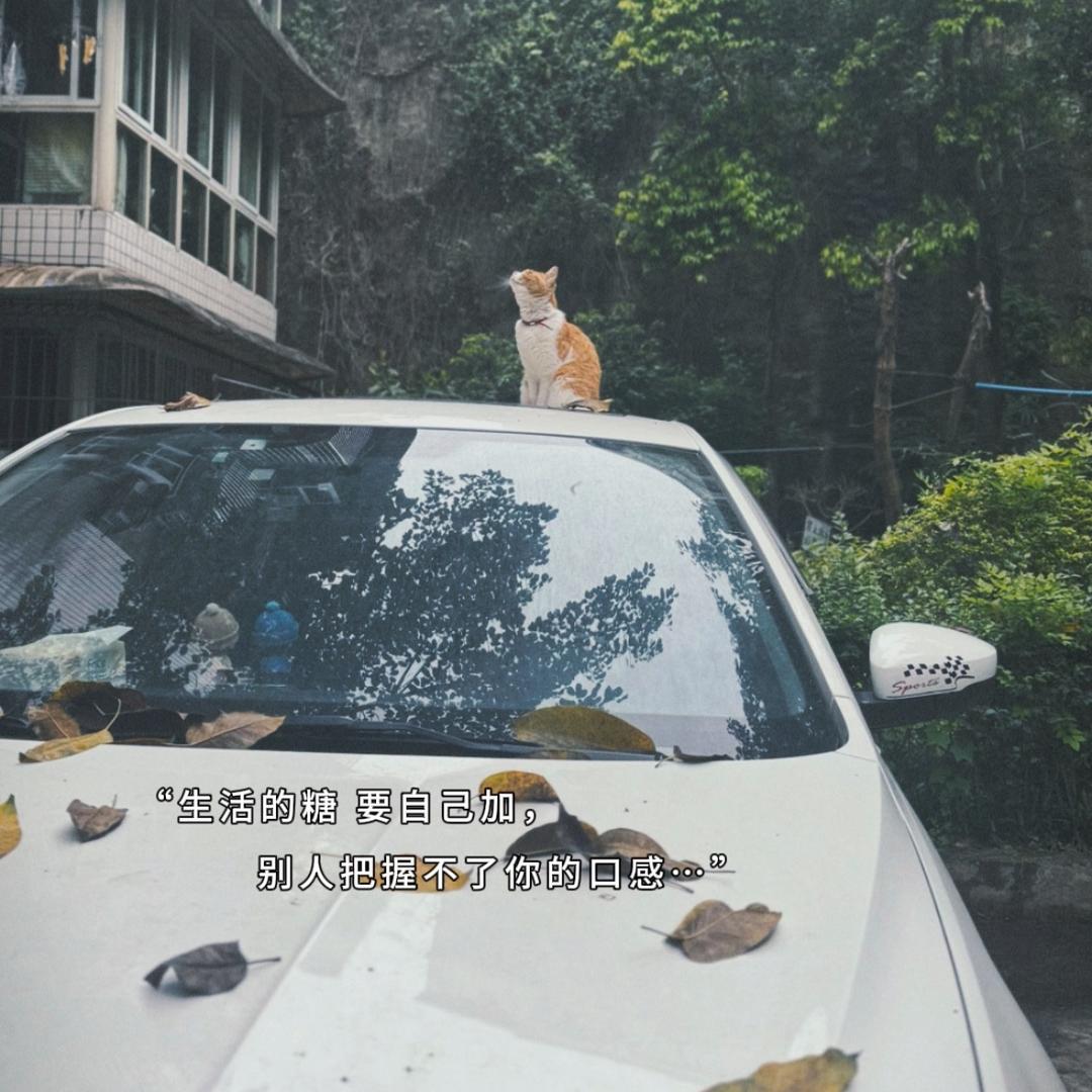 姚姚