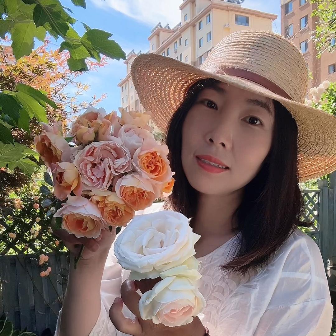 微微的花草世界