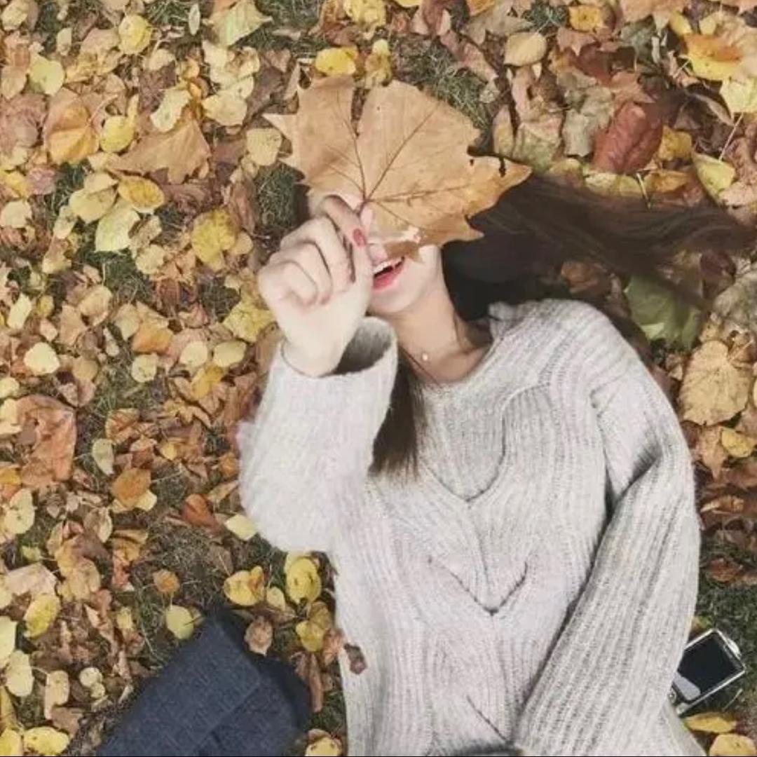 贝莎信息咨询