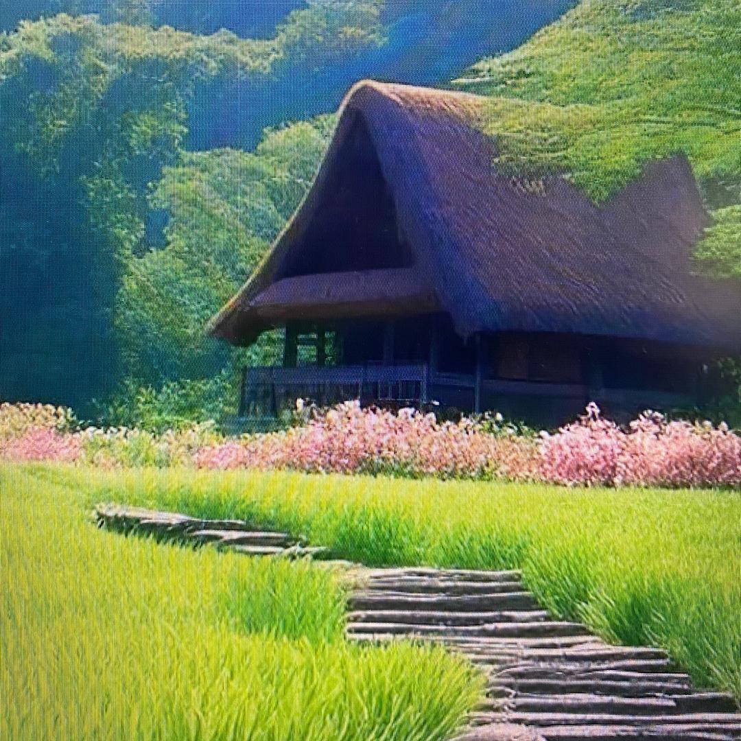 锦绣前铖鞋类店铺