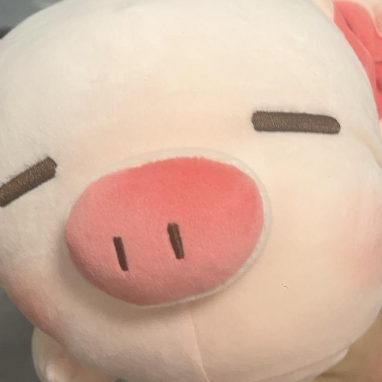 小白（原神代肝+吃鸡代打）