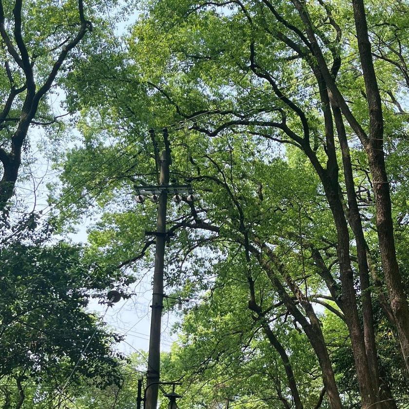酱酱～
