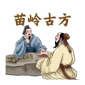 苗岭古方医疗器械旗舰店好物挑选