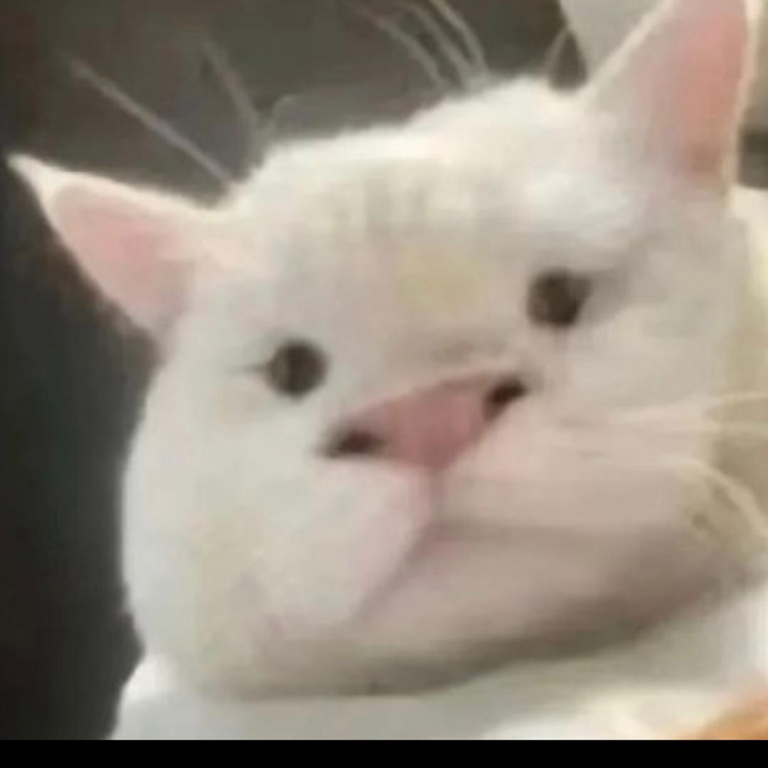 Lv惟爱头像