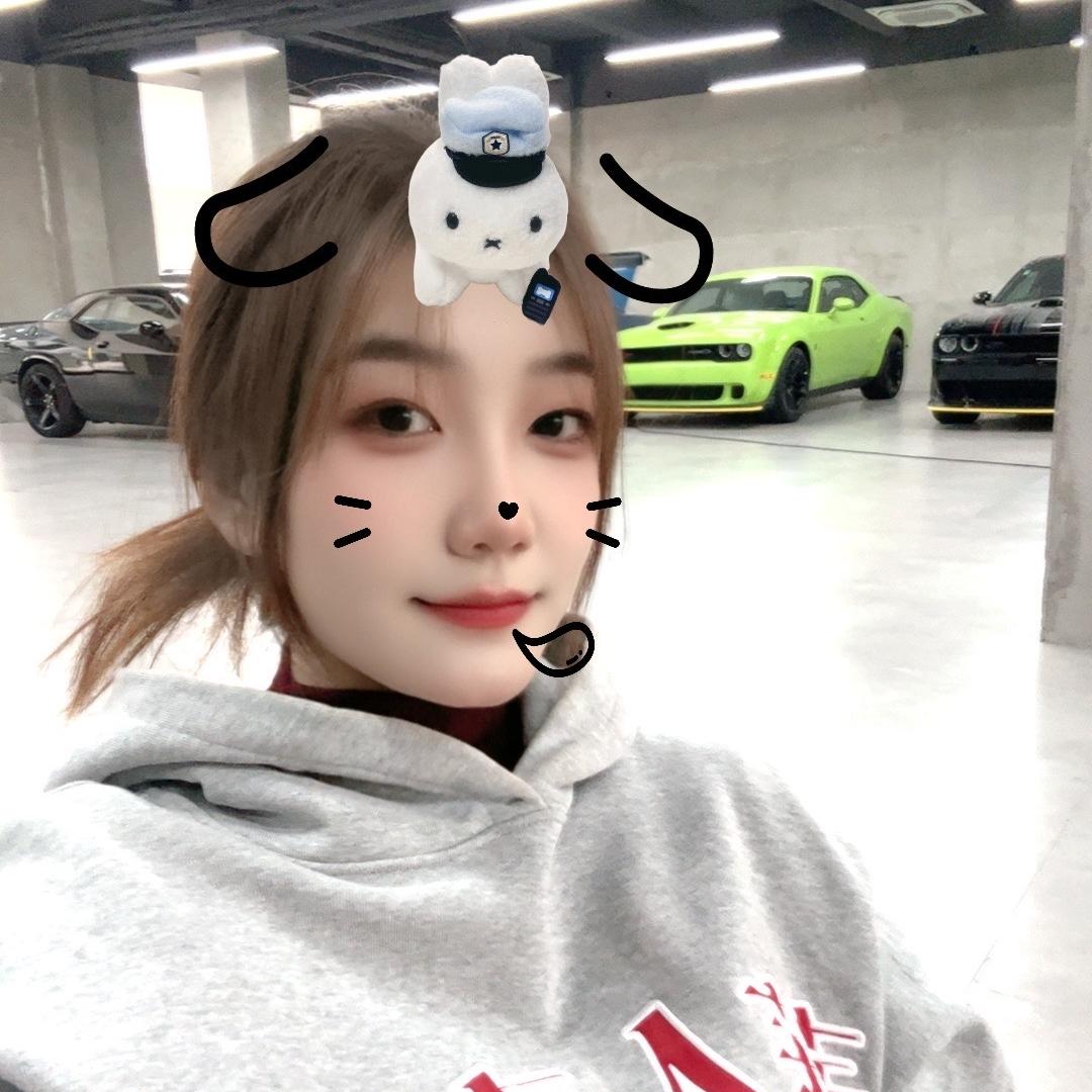 又又进口车