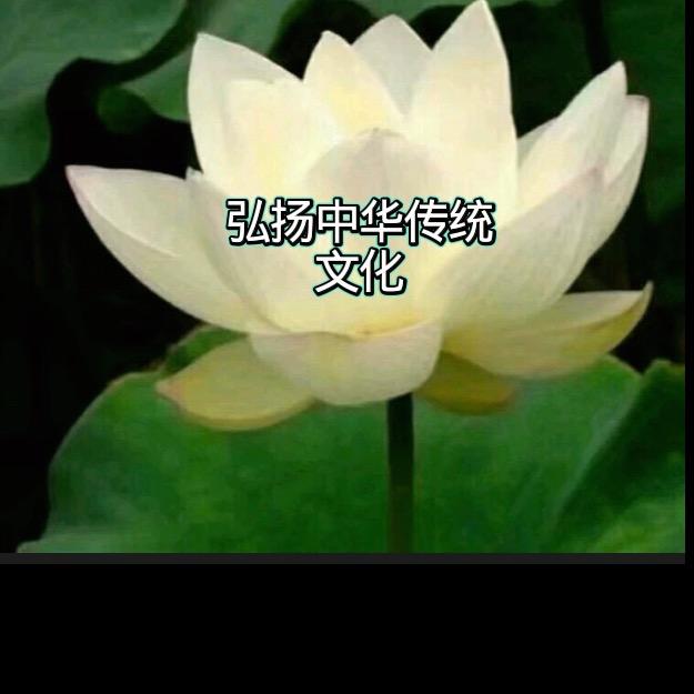 清云优选