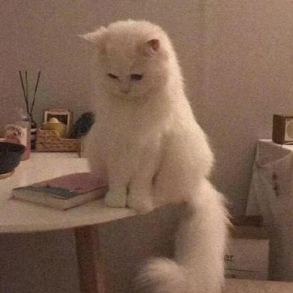 🐥💩🐒💩🐷💩🦆💩🐟