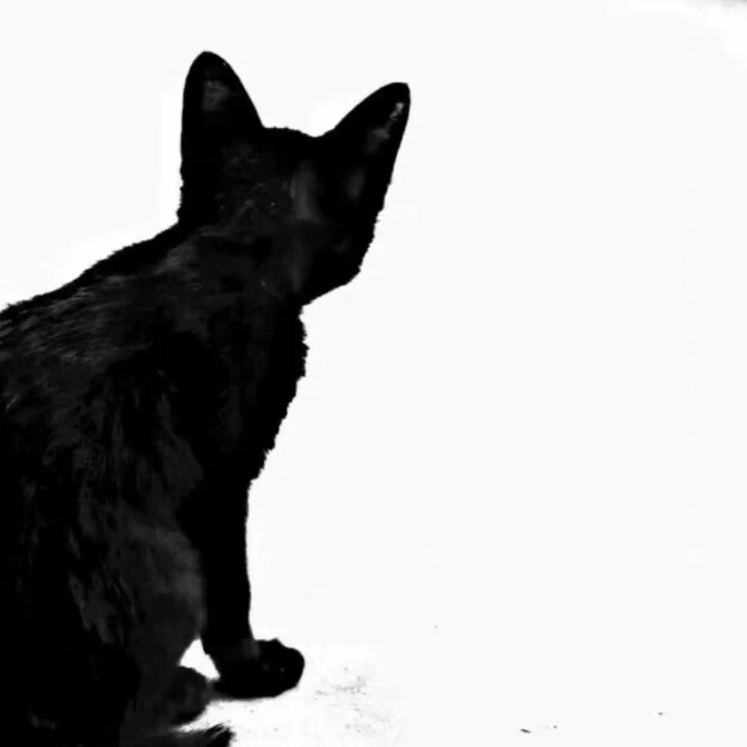 🖤 .