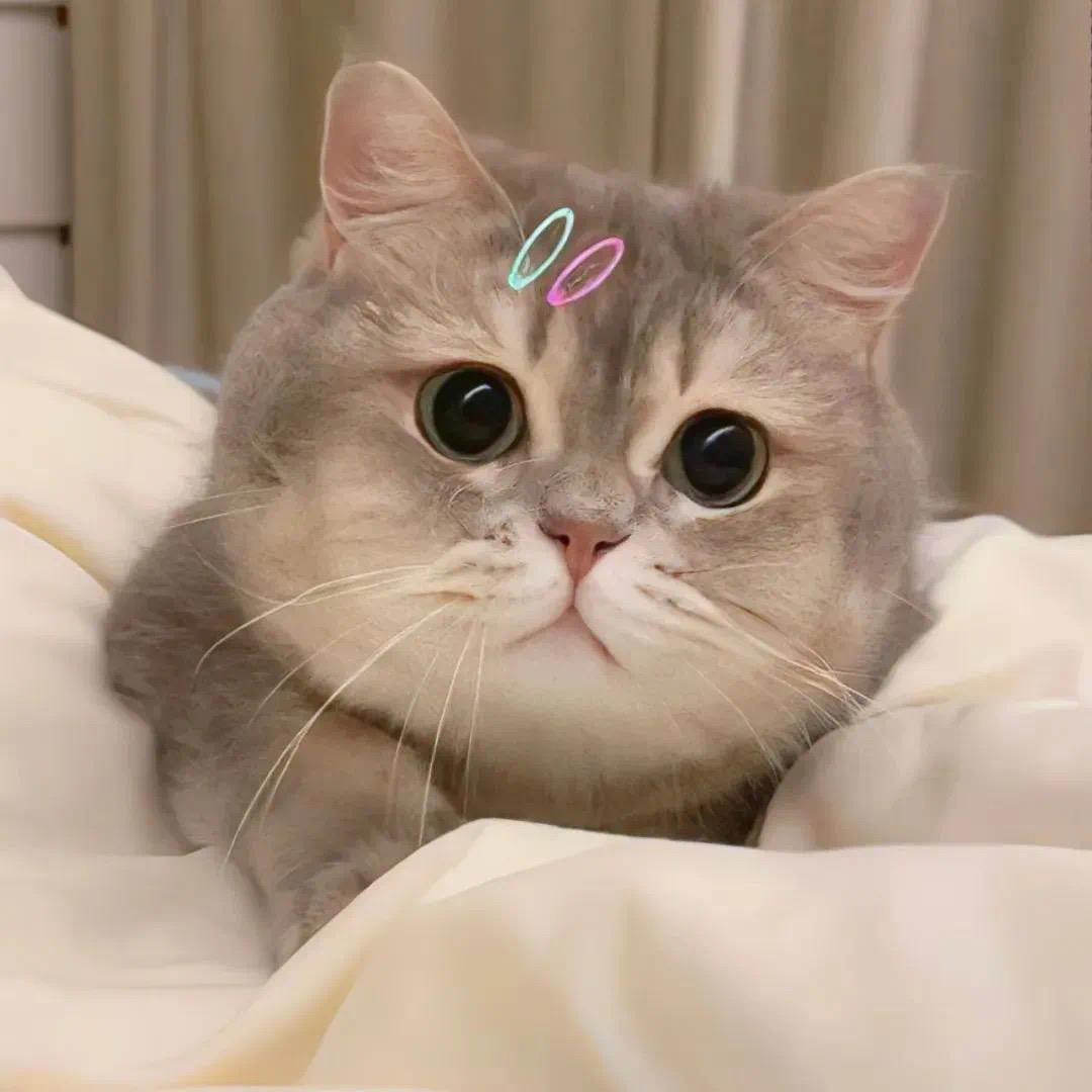 ⭕众🌈