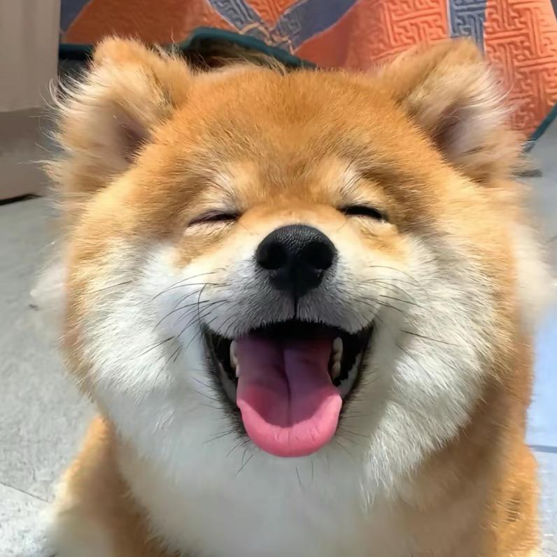 吼吼