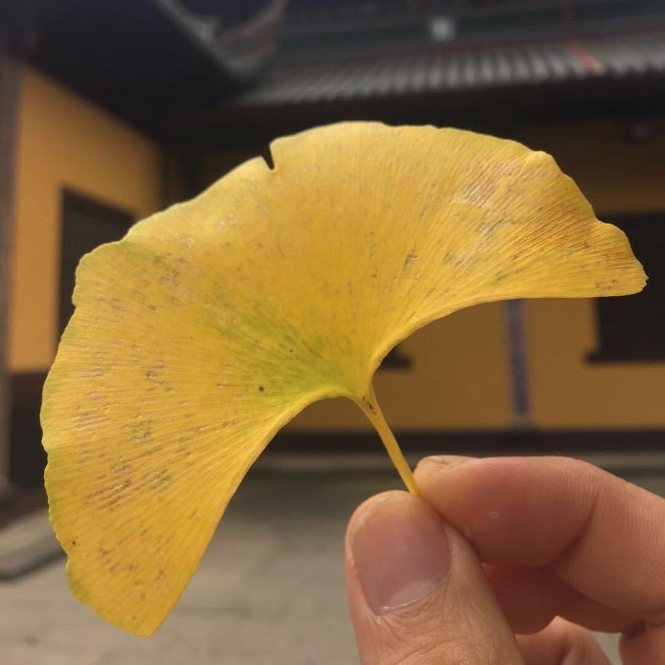 一酒吧六
