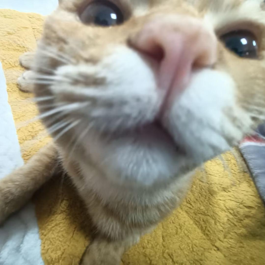 火正
