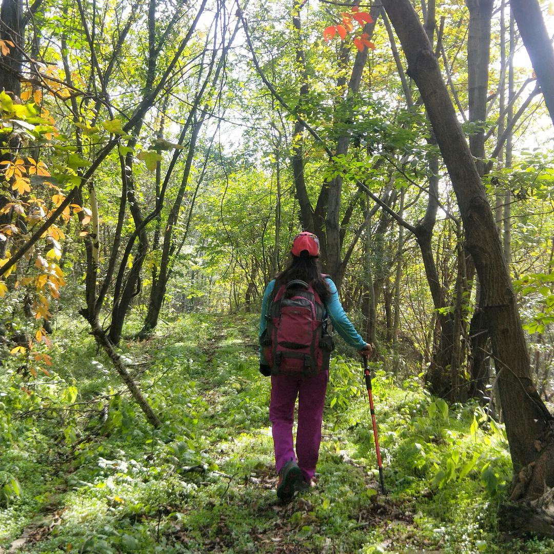 一米阳光(拒连赞）