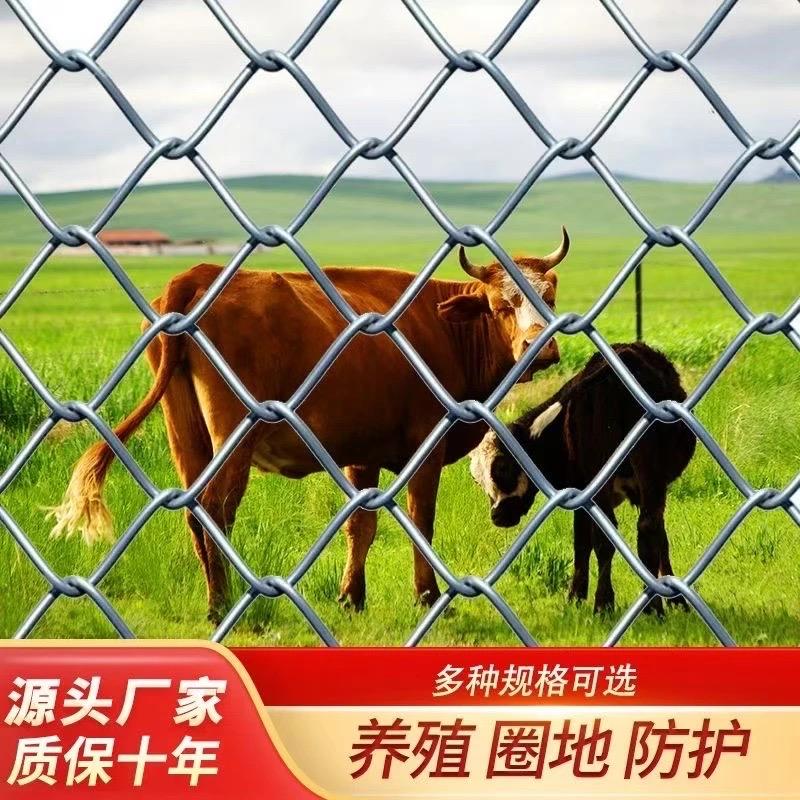 高通围栏防护网