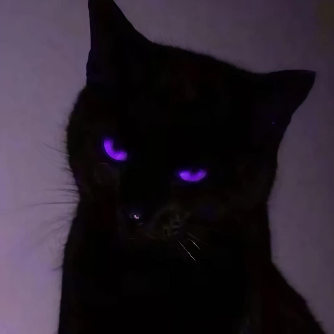 卿卿
