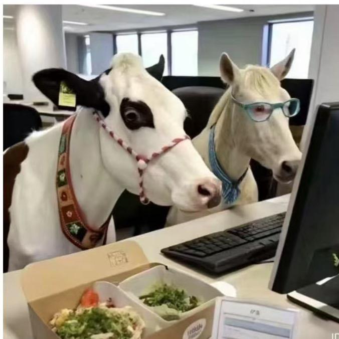 🌈🌈forever🇨🇳