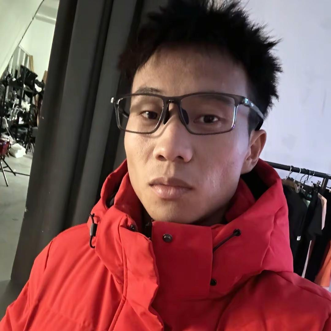 独往维也纳