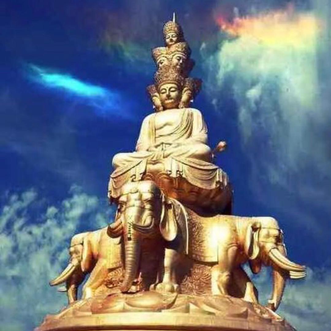 🙏💰民哥💰🙏