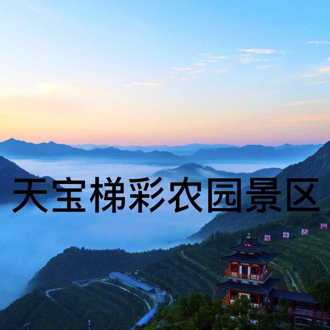 天宝梯彩农园