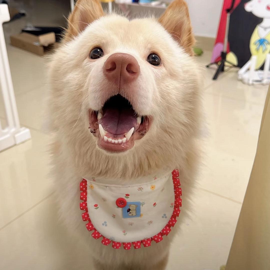 小溪小溪哗啦啦