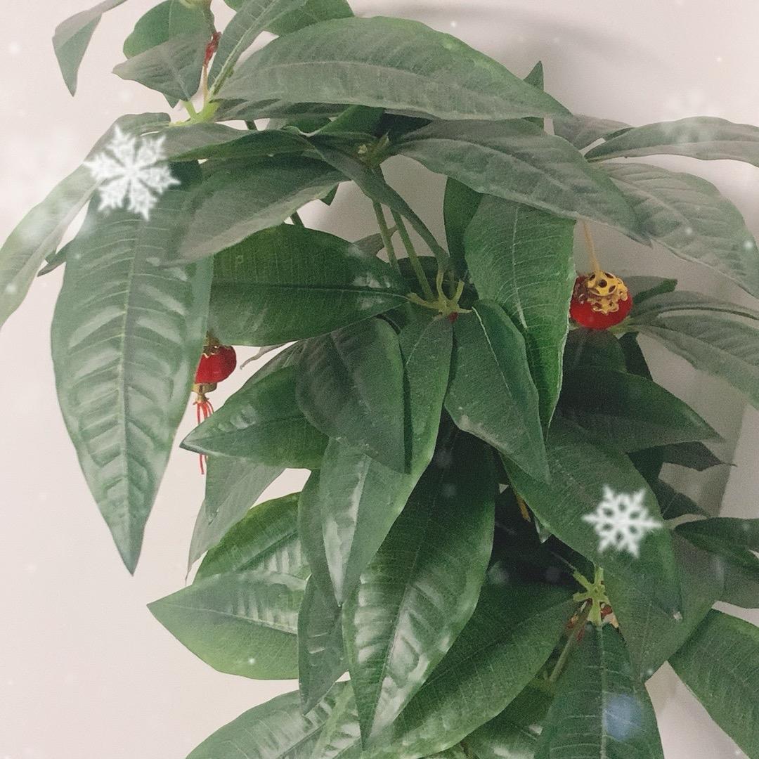 彩虹一道天 杰