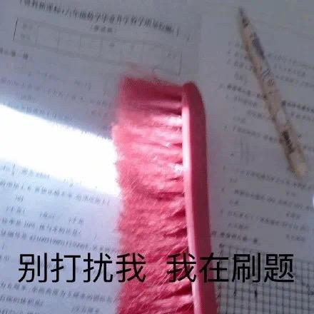 大泥BD