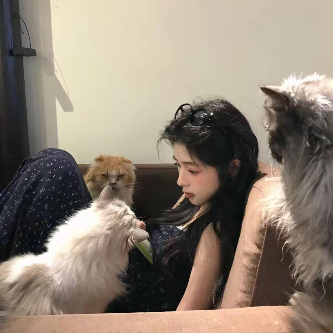 爱吃酱