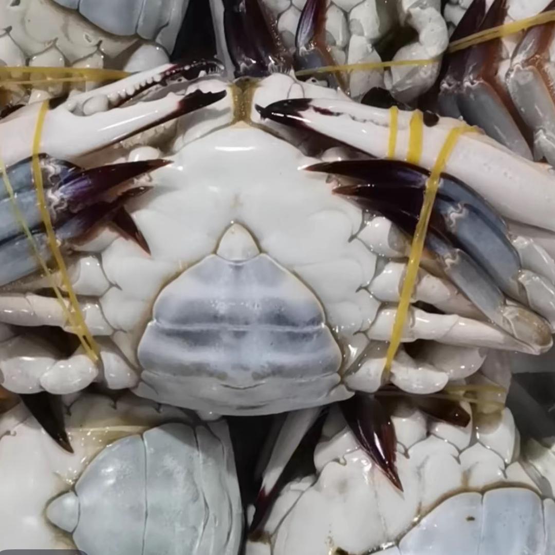 鲜果汇亮亮澄尊