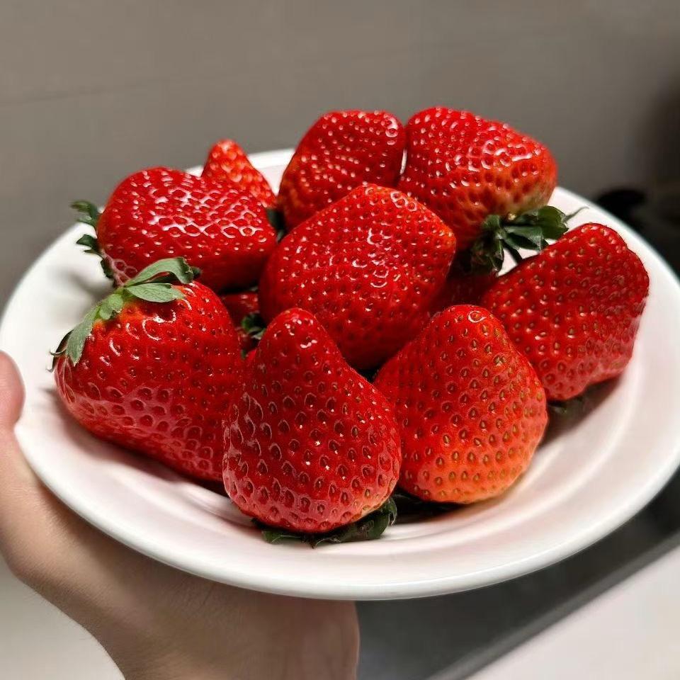 伏工的标书制作日常