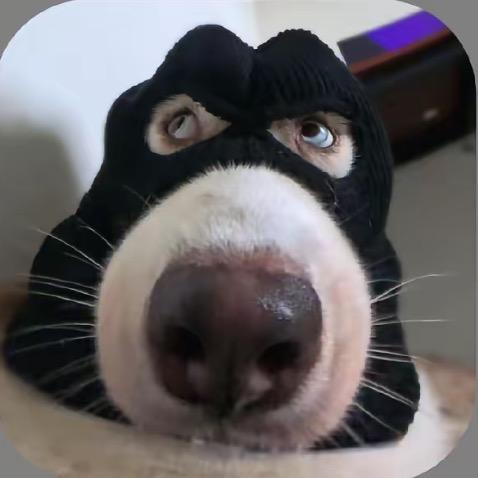 来财 来 来财