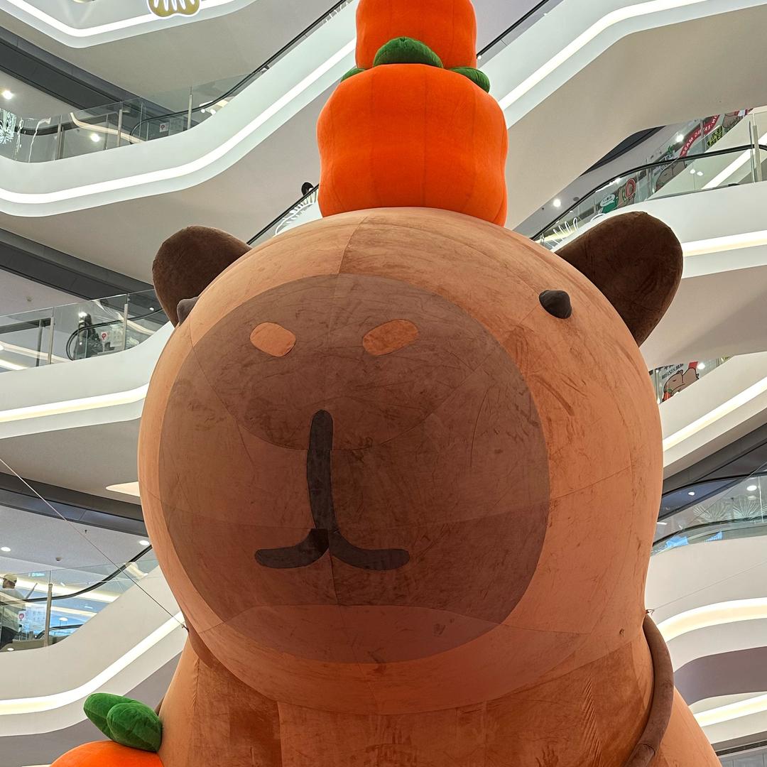 大菲姐姐
