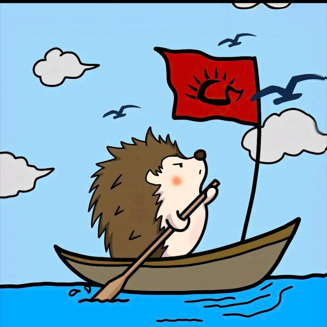 刺🦔猬