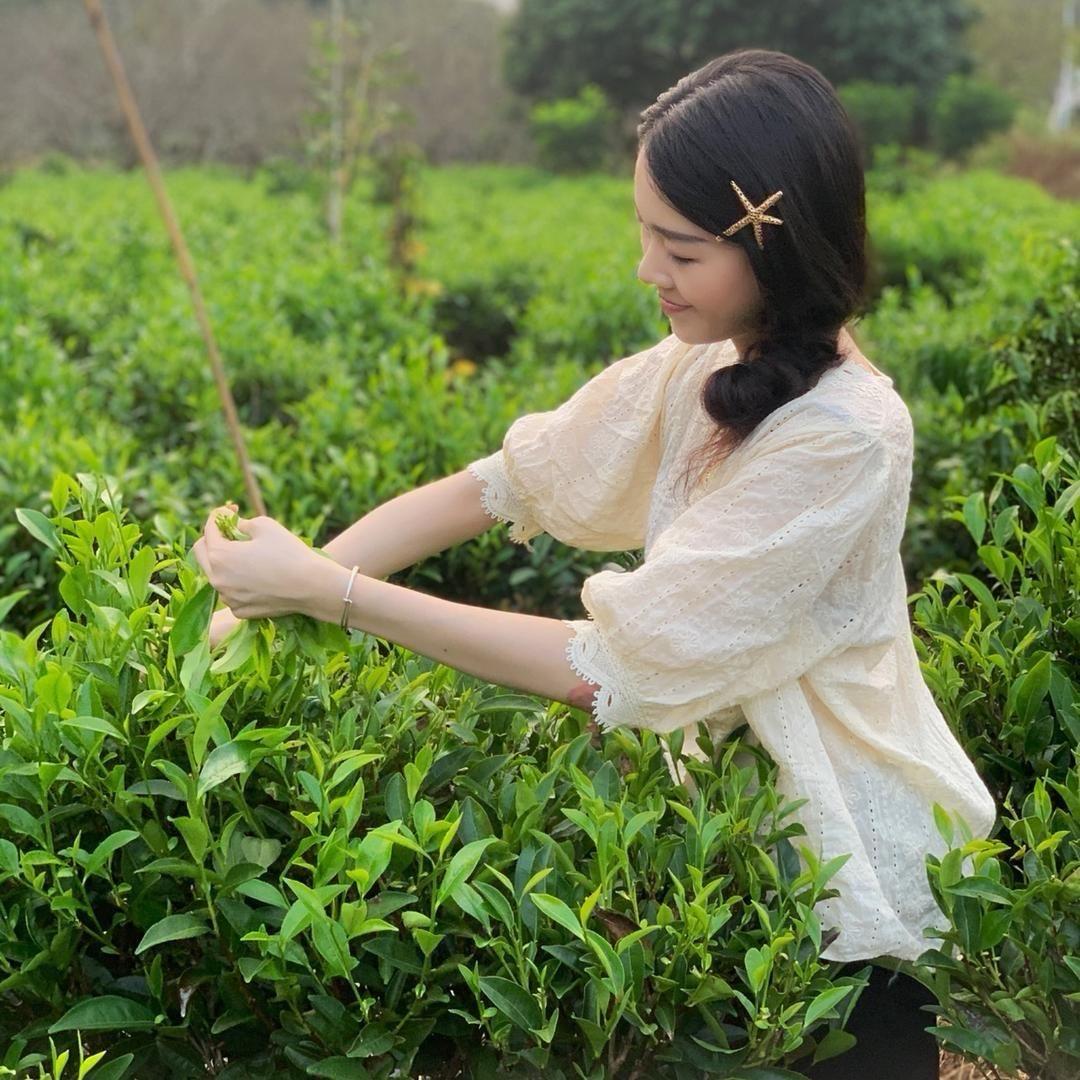 佳档茶厂 潮茶荟单丛