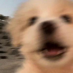 李易蔓