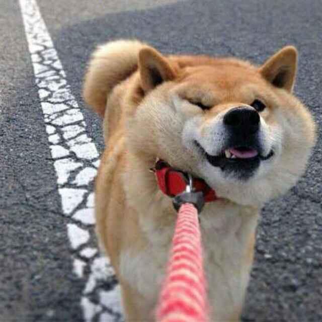 一三九