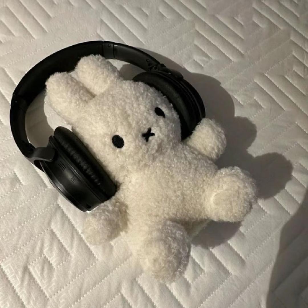 灿灿小包
