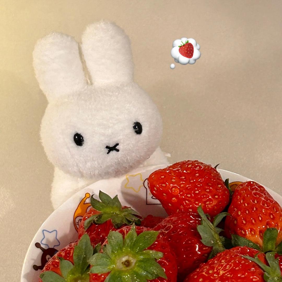 草莓子酱🍓